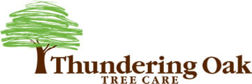 Thundering Oak - logo
